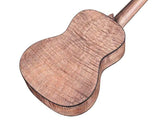 Cordoba UKULELES Cordoba 15CFM Ukulele Grey