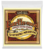 Ernie Ball Earthwood 12 string acoustic 11 gauge