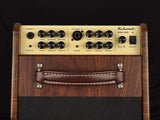 Buy Richwood RAC-50 Acoustic Guitar Amp at Guitar Crazy