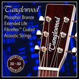 Tanglewood Phosphor BronzeAcoustic Guitar Strings 12-53